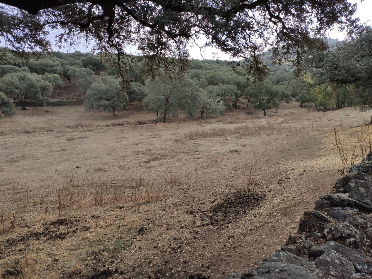 Venta de finca rústica en Cabeza la Vaca