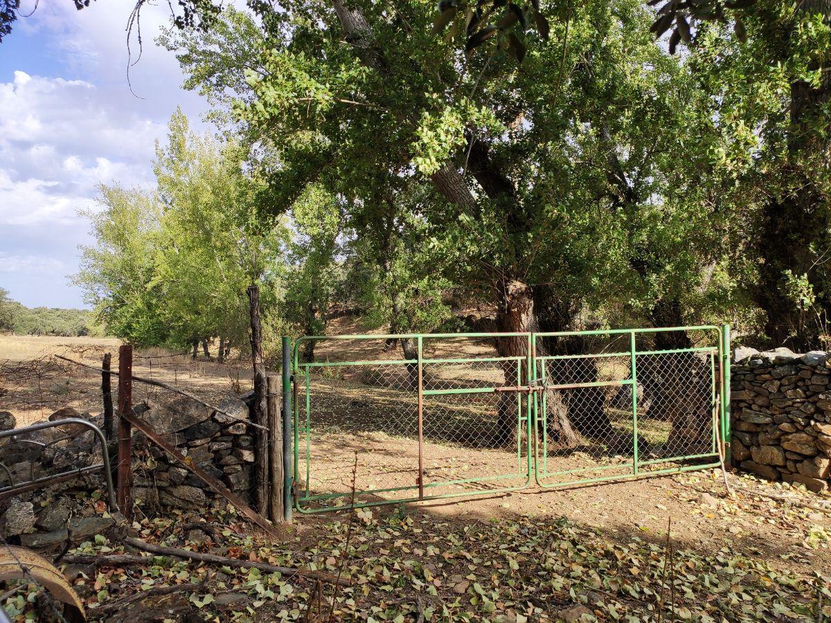 Venta de finca rústica en Cabeza la Vaca