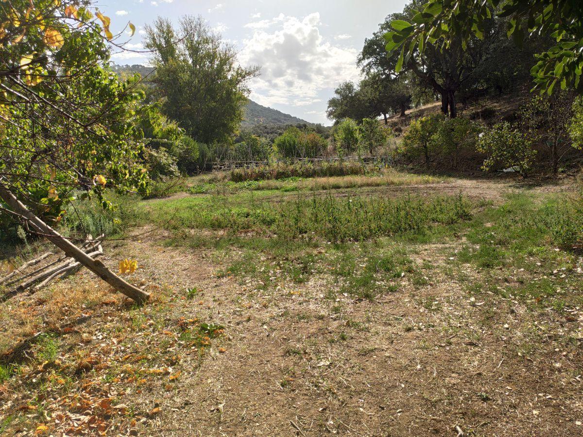 Venta de finca rústica en Cabeza la Vaca