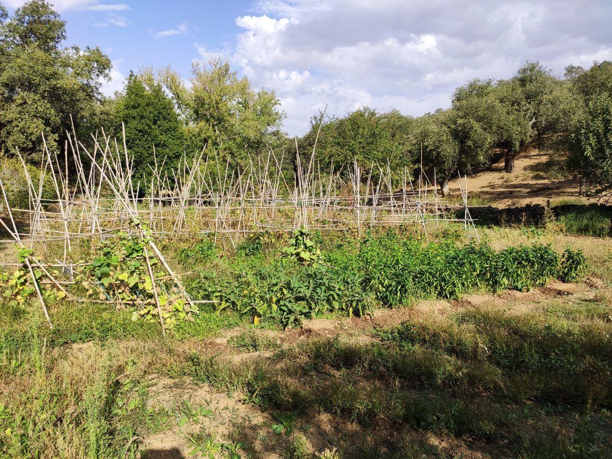 Venta de finca rústica en Cabeza la Vaca