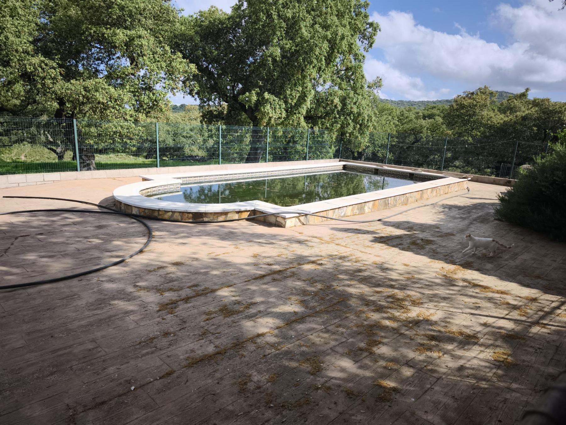 Venta de finca rústica en Cabeza la Vaca