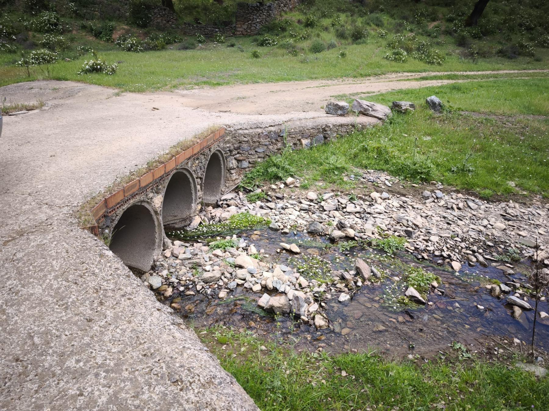 Venta de finca rústica en Cabeza la Vaca