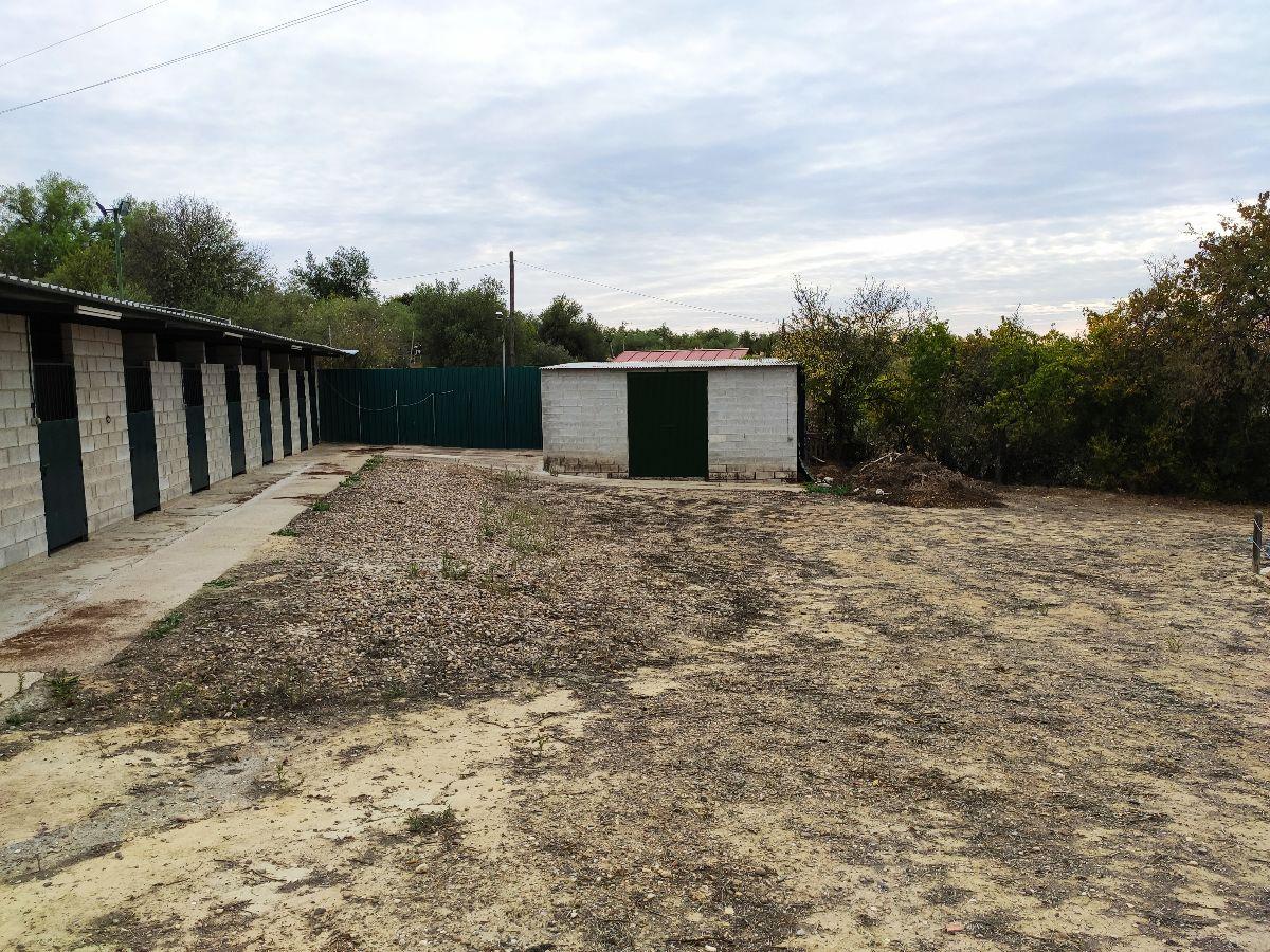 Venta de finca rústica en Sanlúcar la Mayor