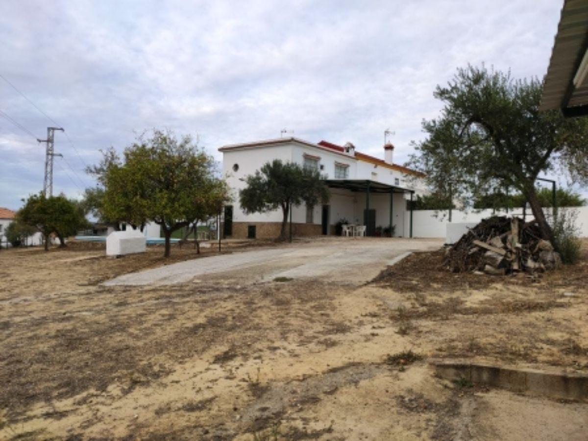 Venta de finca rústica en Sanlúcar la Mayor