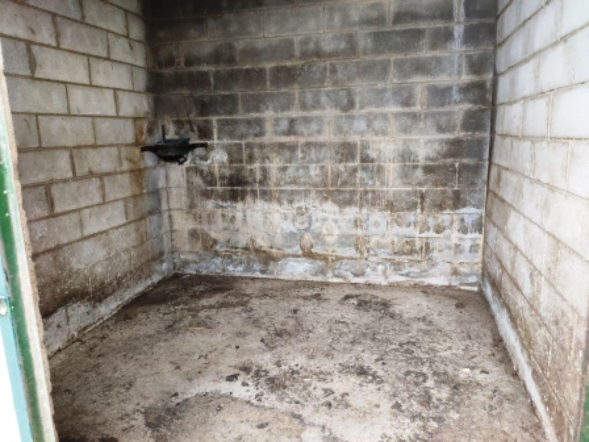 Venta de finca rústica en Sanlúcar la Mayor Venta de finca rústica en Sanlúcar la Mayor