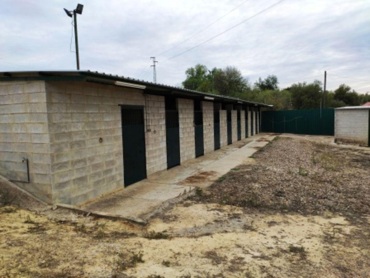 Venta de finca rústica en Sanlúcar la Mayor