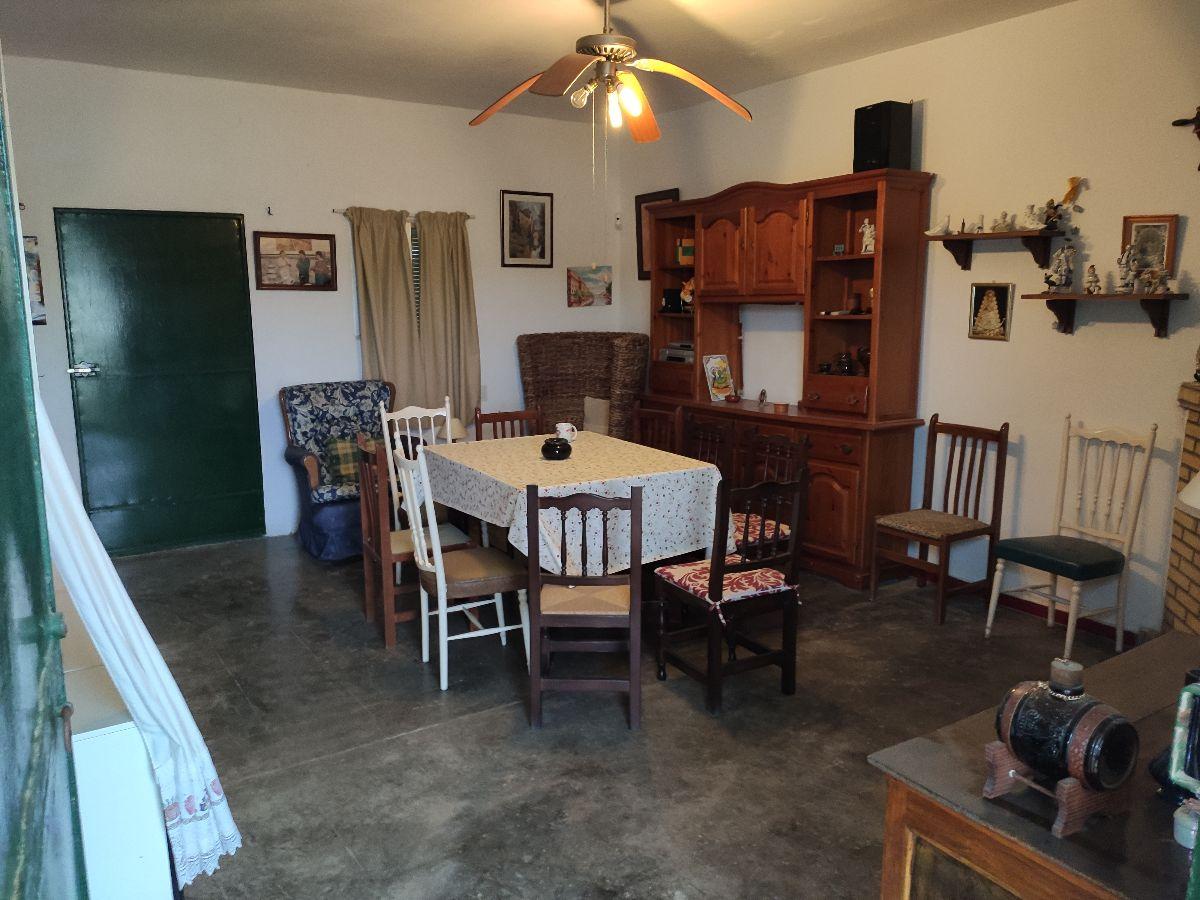 Venta de finca rústica en Sanlúcar la Mayor