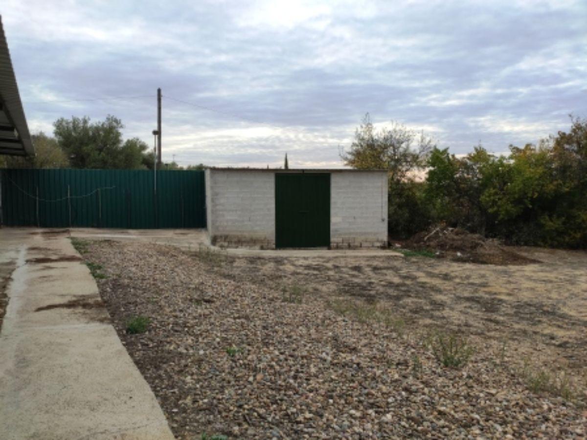 Venta de finca rústica en Sanlúcar la Mayor