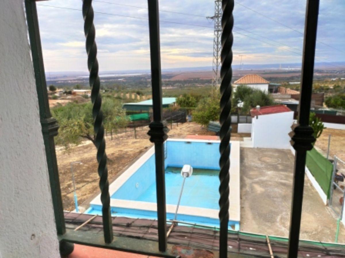 Venta de finca rústica en Sanlúcar la Mayor