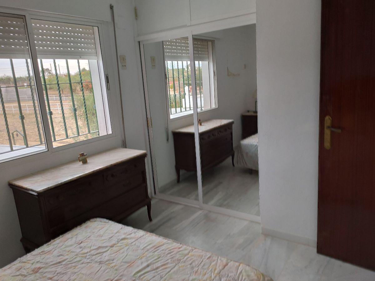 Venta de finca rústica en Sanlúcar la Mayor Venta de finca rústica en Sanlúcar la Mayor