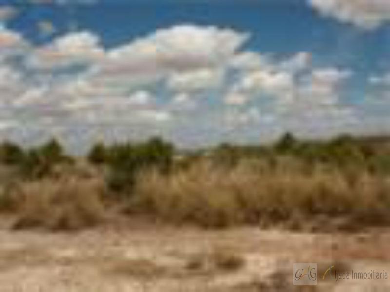 For sale of land in Barajas de Melo