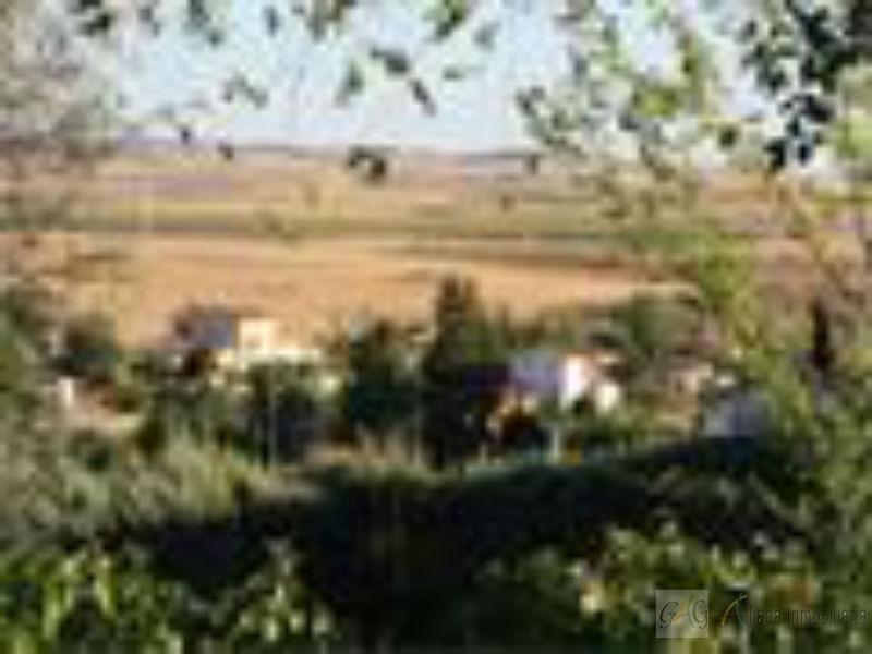 For sale of land in Barajas de Melo