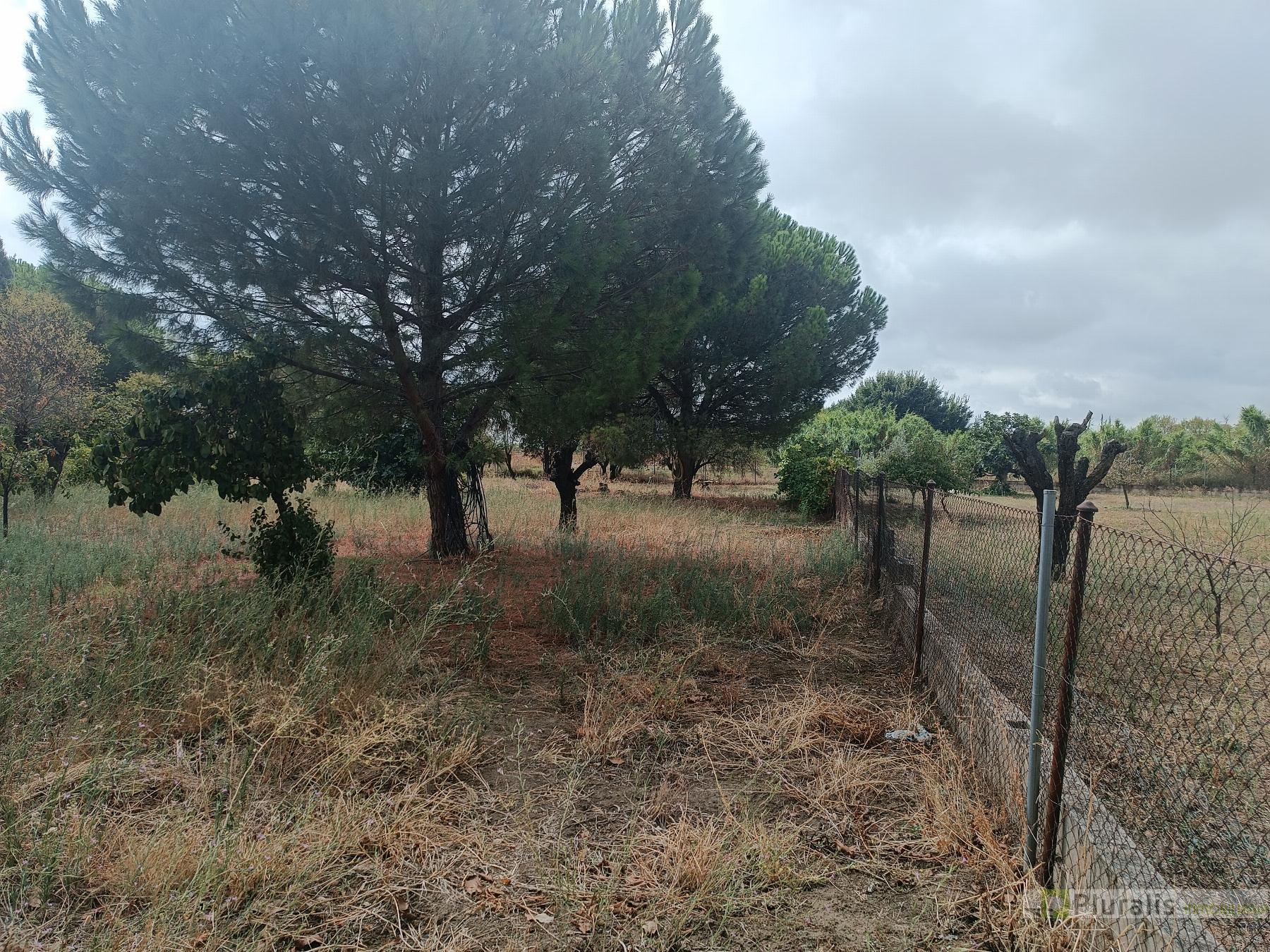 For sale of house in Illescas