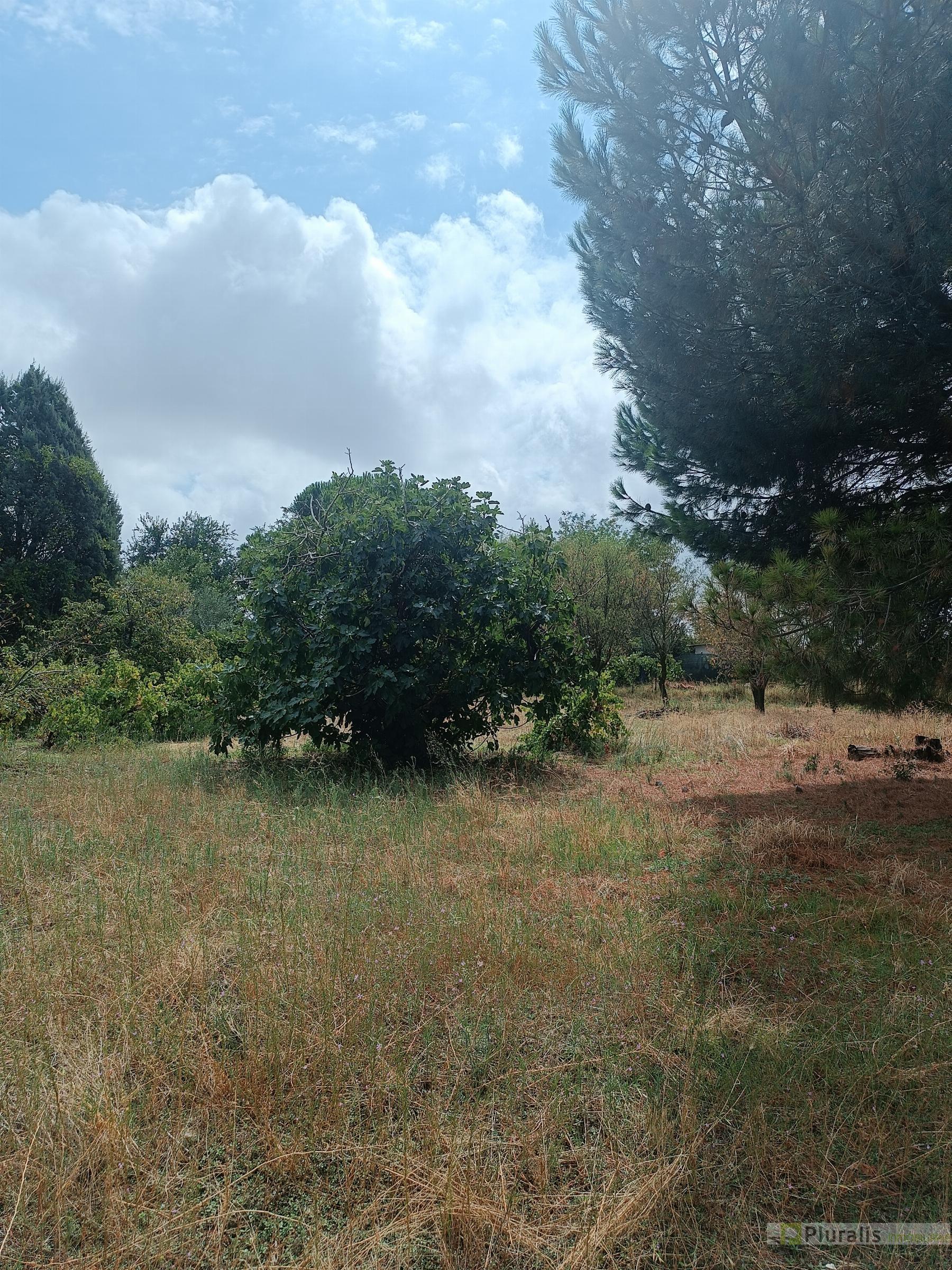 For sale of house in Illescas