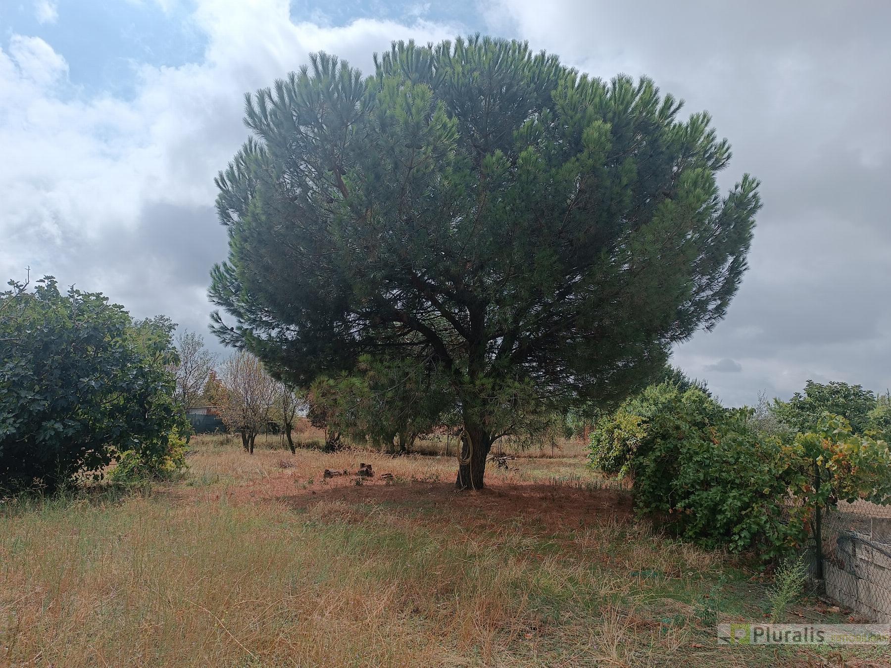 For sale of house in Illescas