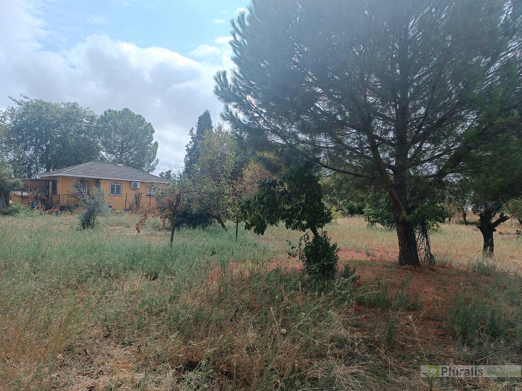 For sale of house in Illescas