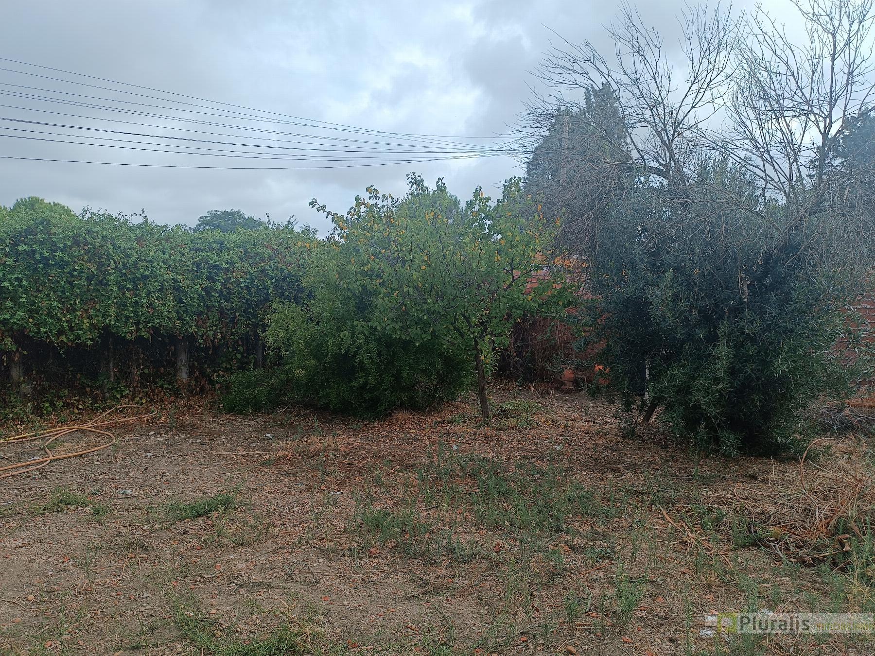 For sale of house in Illescas