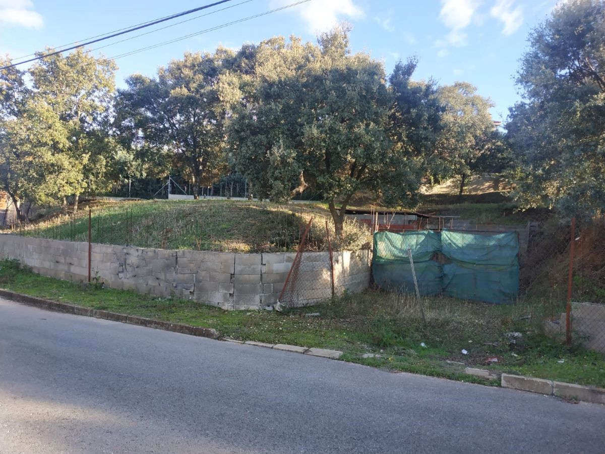 Terreno