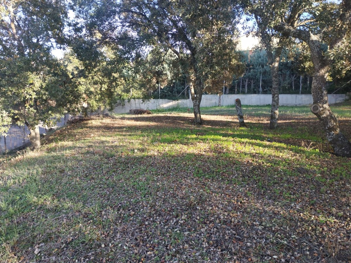 Terreno