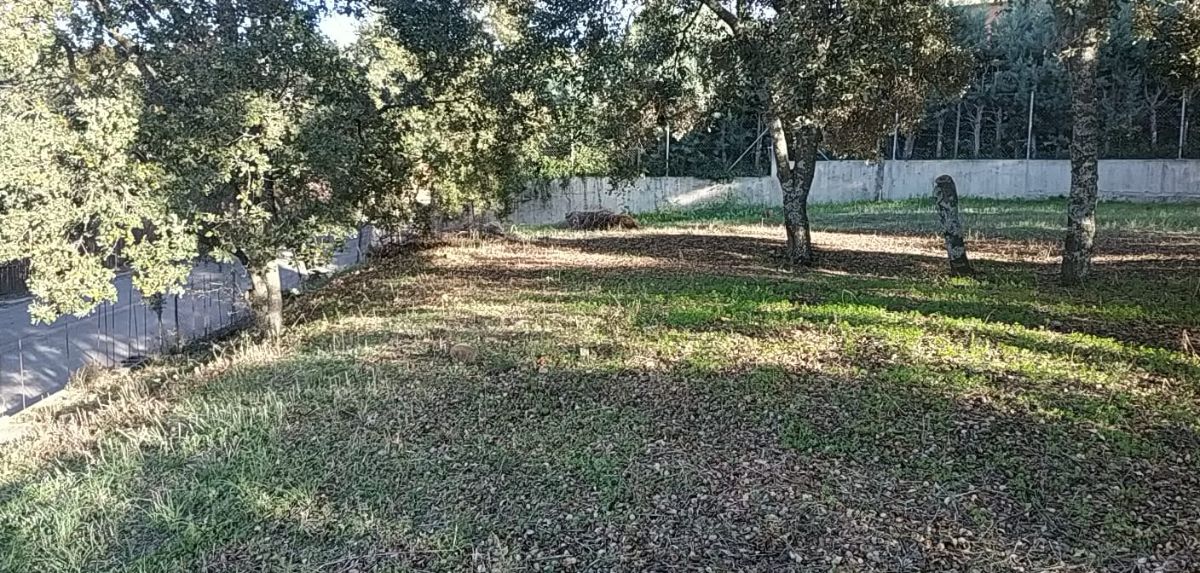 Terreno