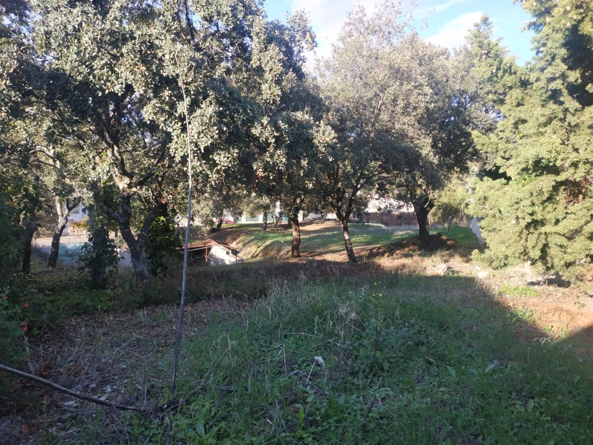 Terreno