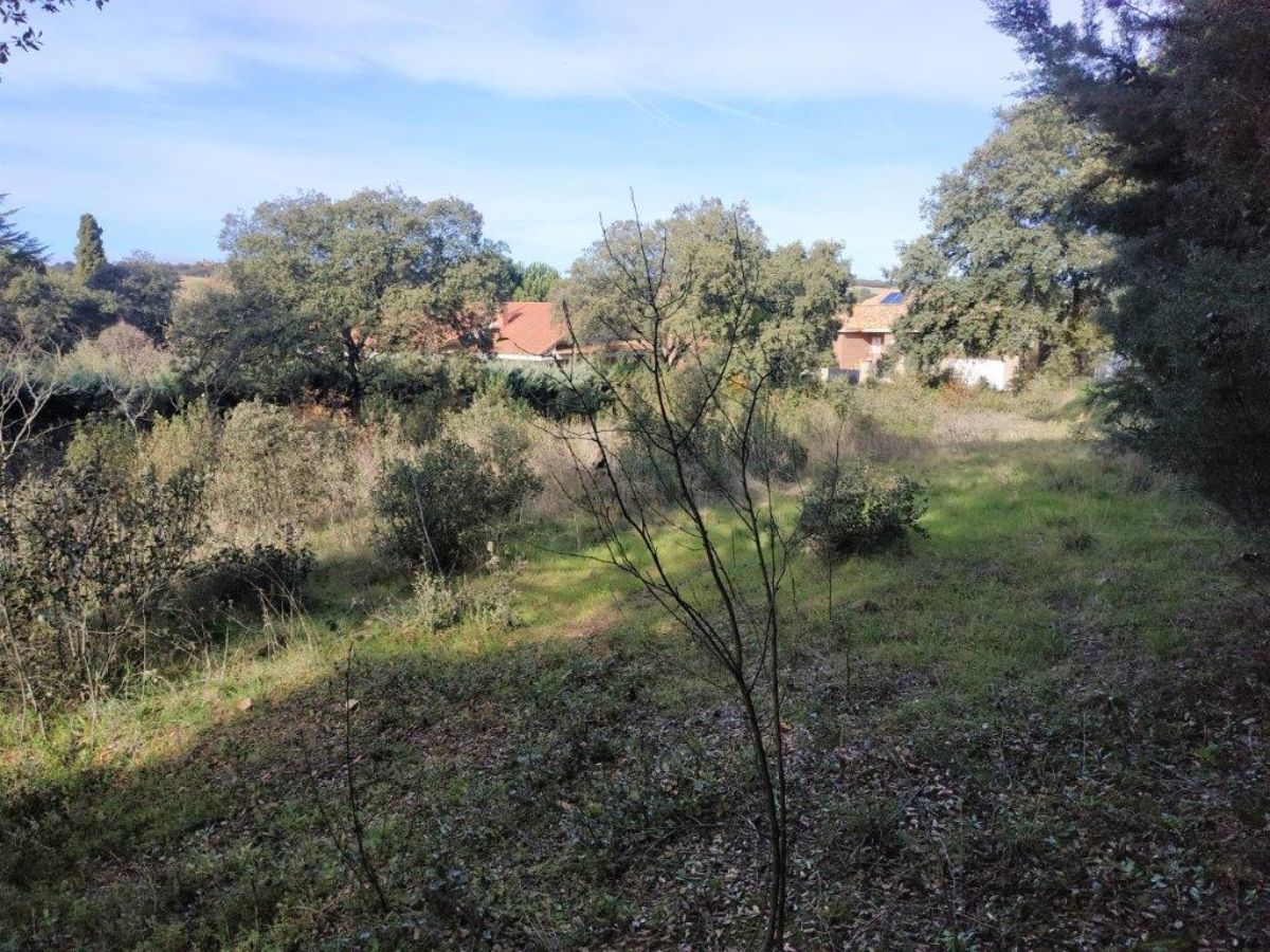 Terreno
