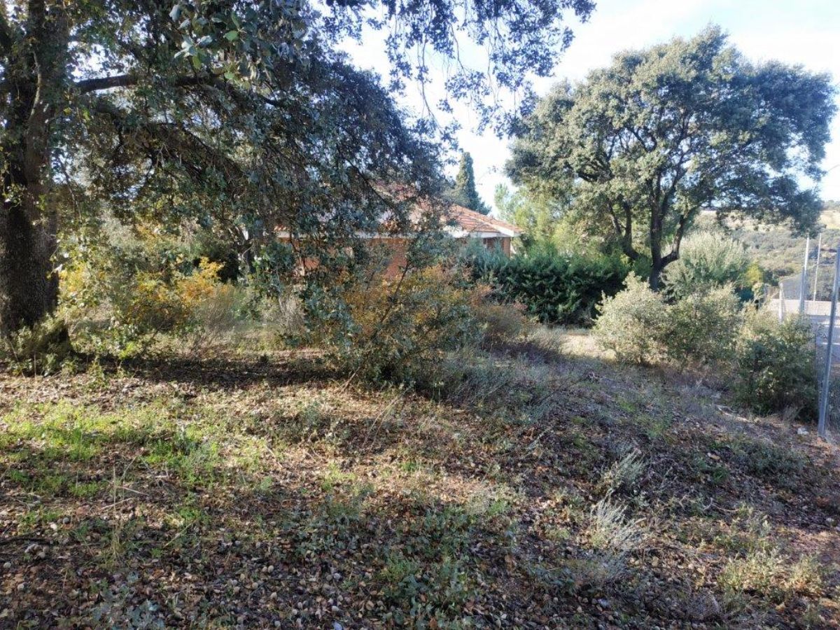 Terreno