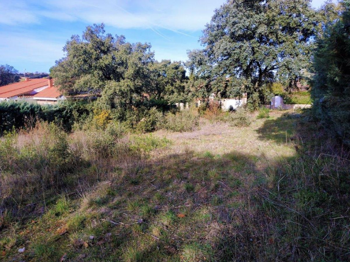 Terreno