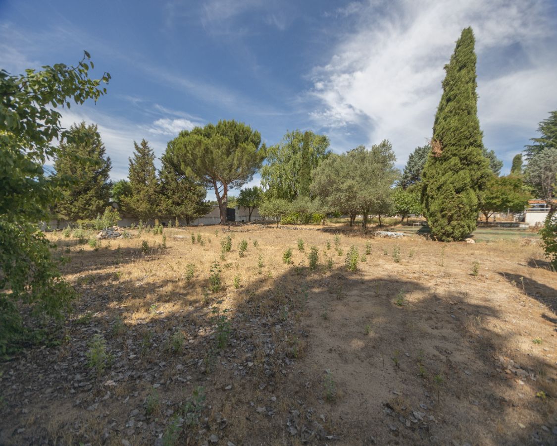 Terreno