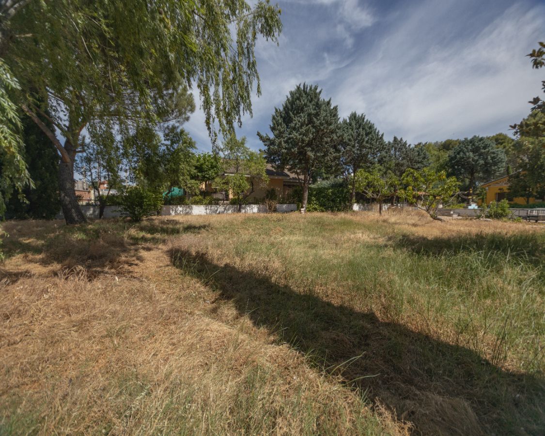 Terreno
