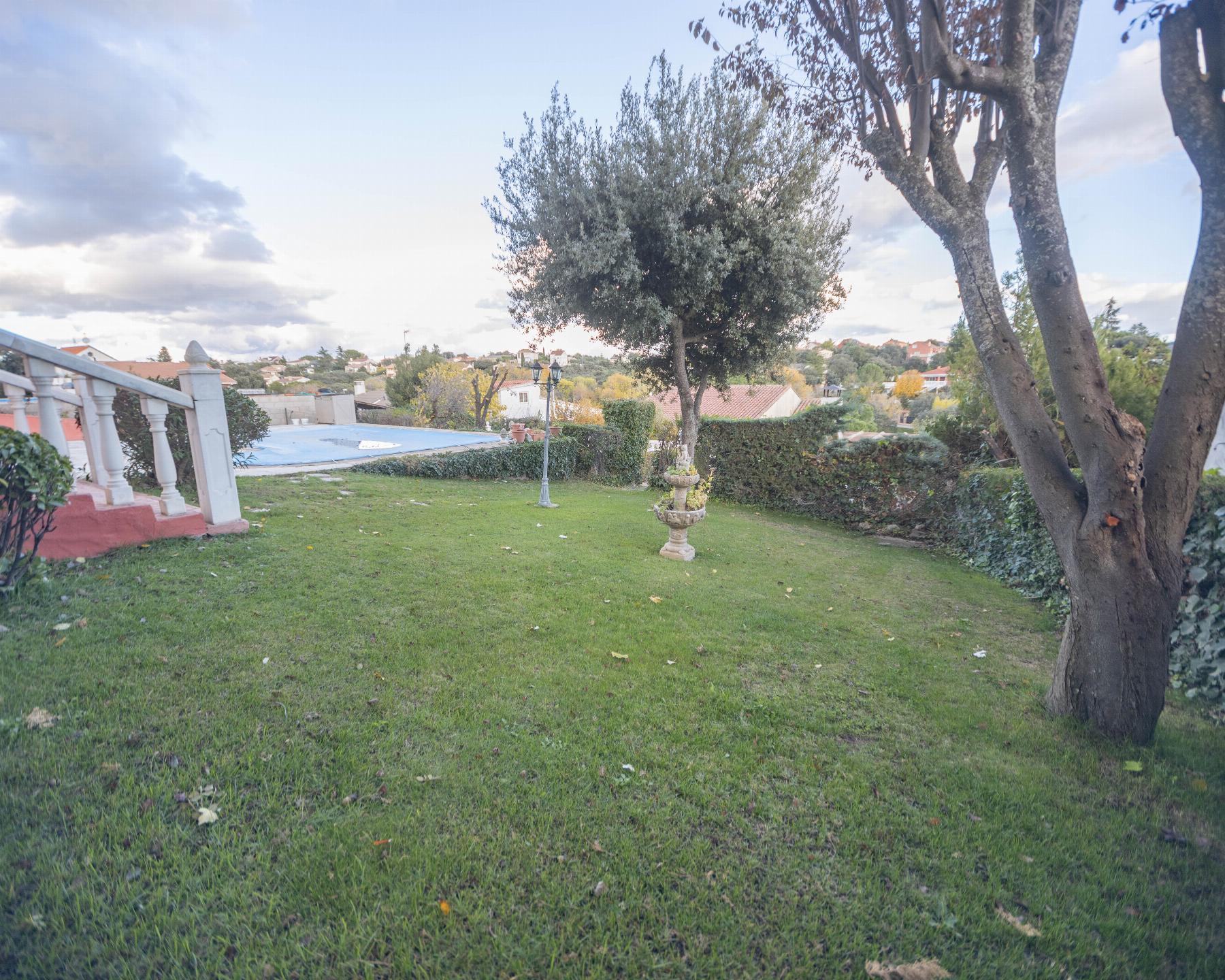 Jardín