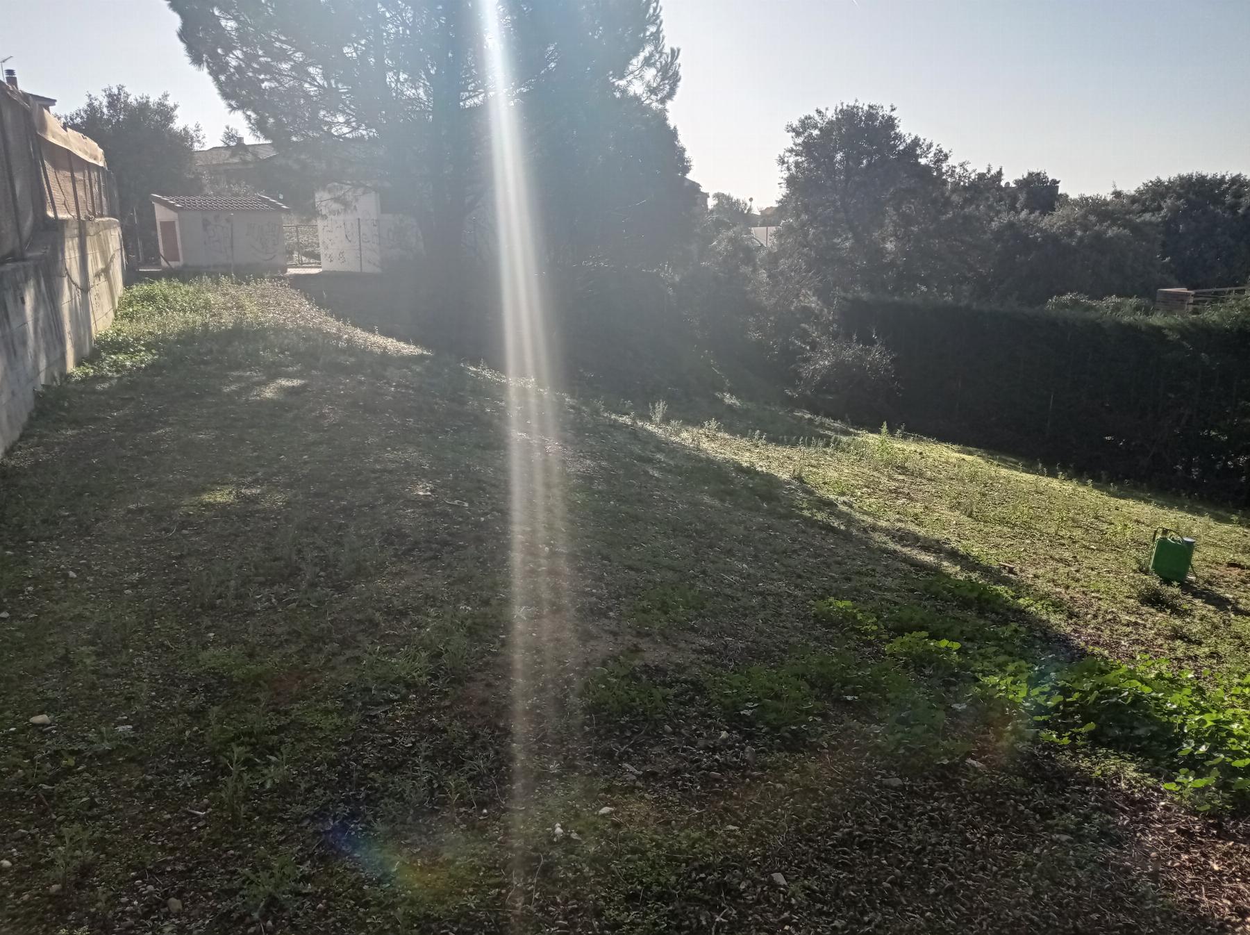 Terreno