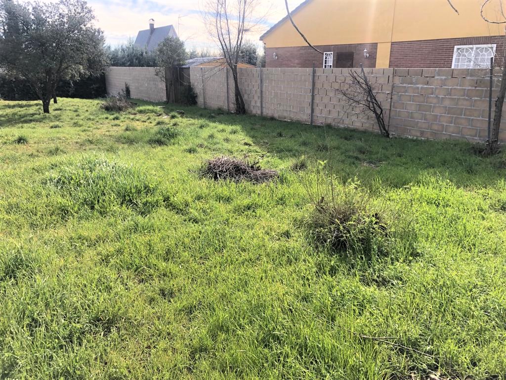 Terreno