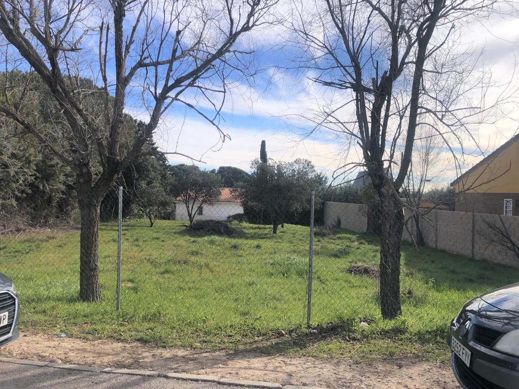Terreno