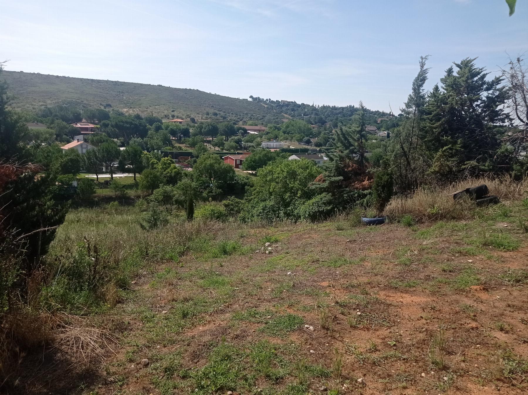 Jardín