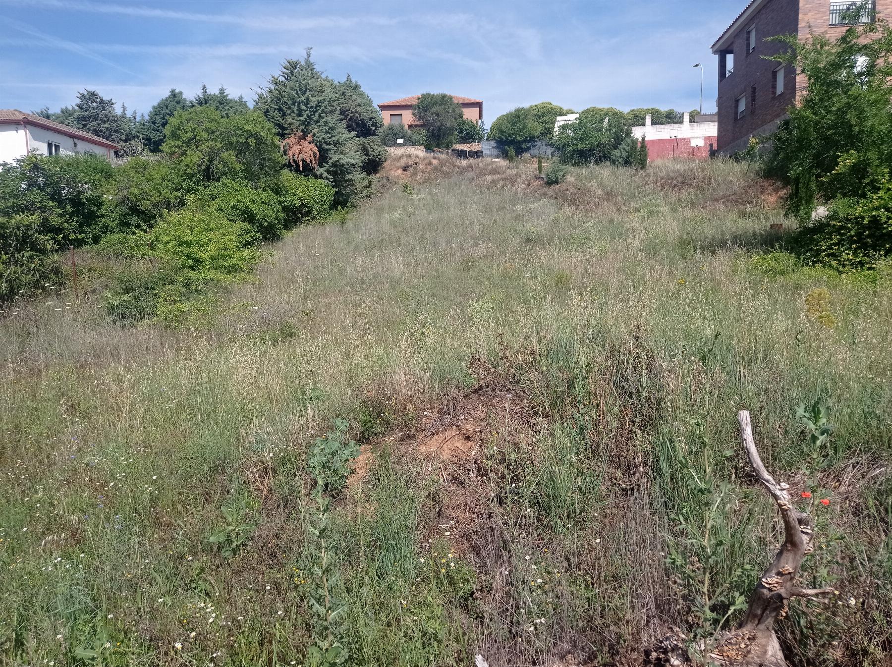 Jardín