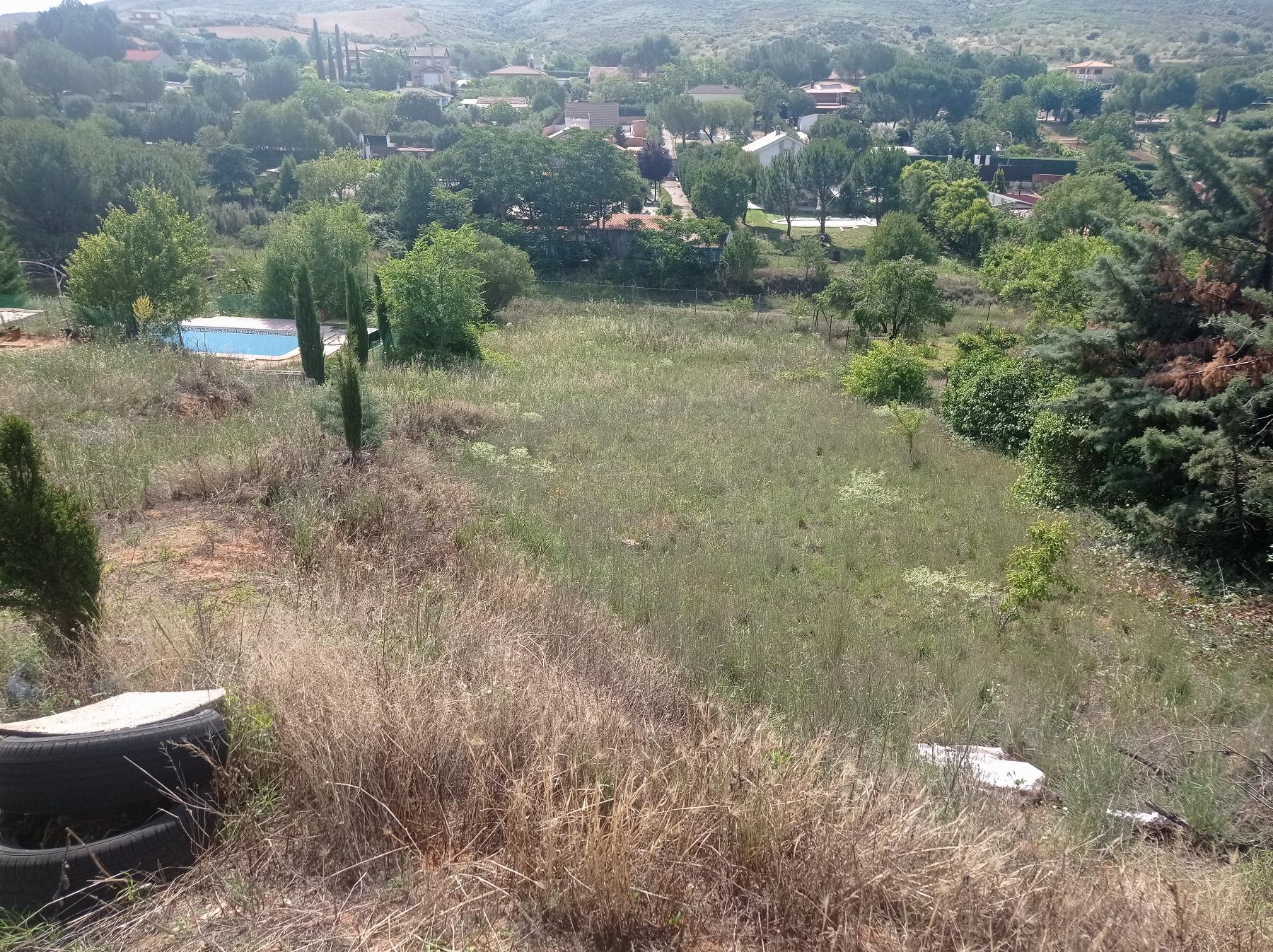Jardín