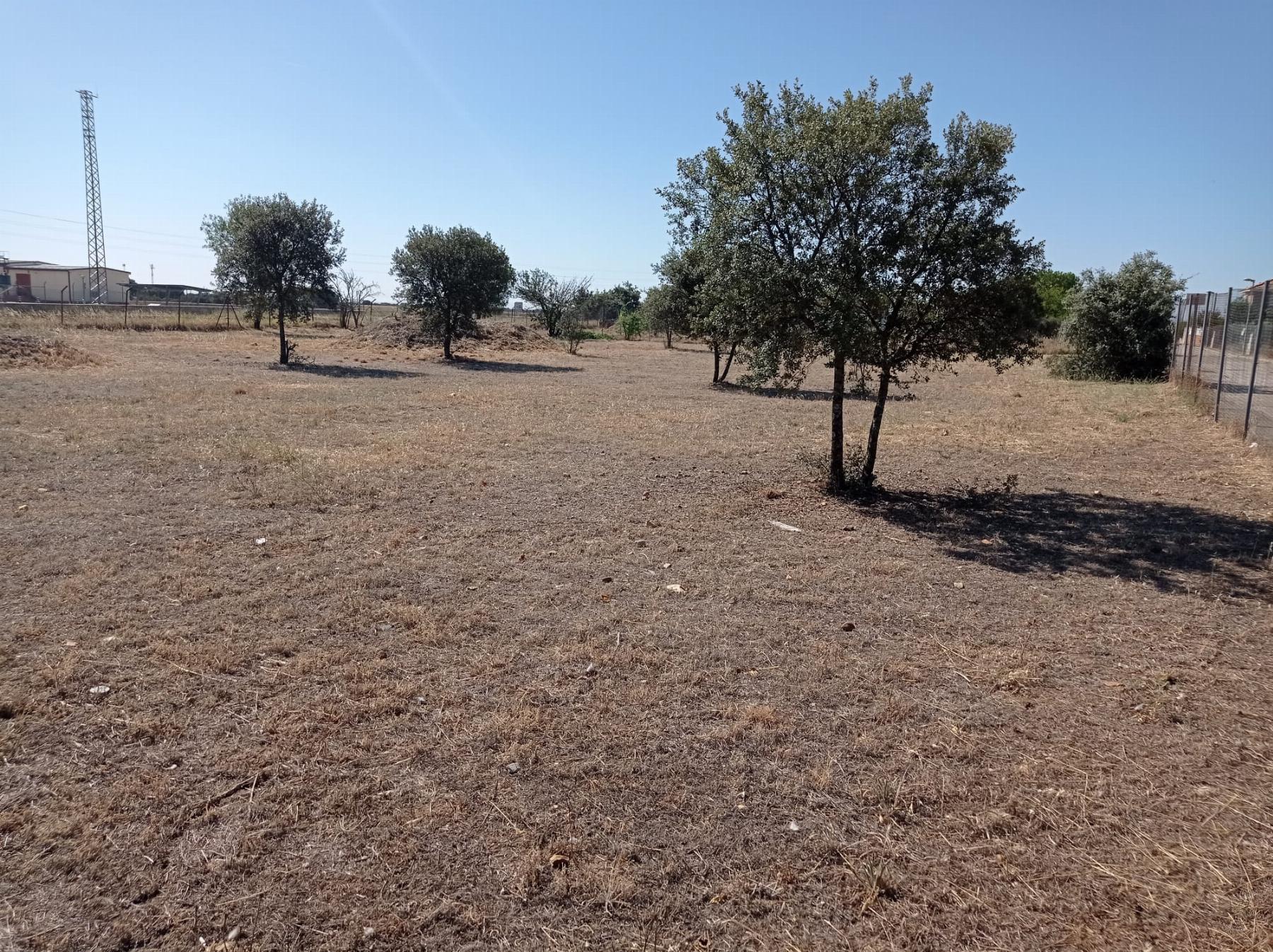 Venta de terreno en El Casar