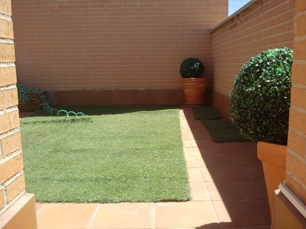 Terraza