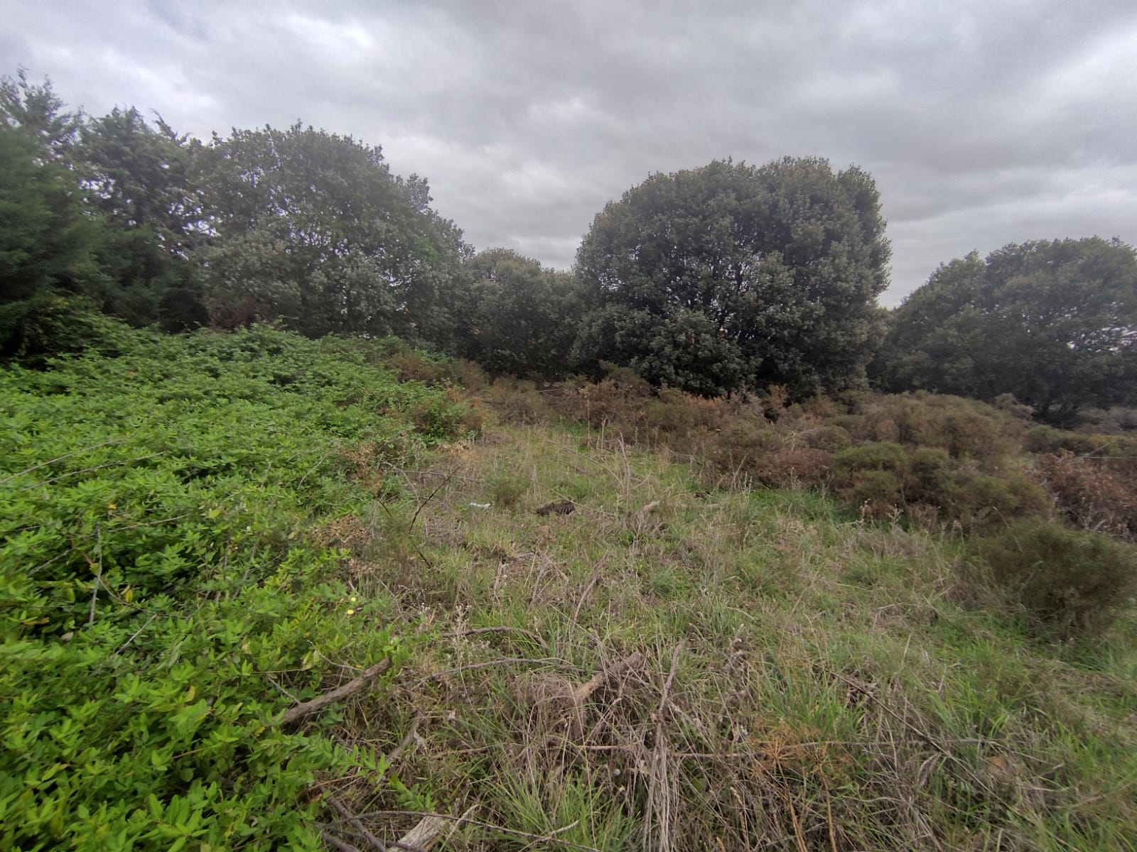 Venta de terreno en Galápagos