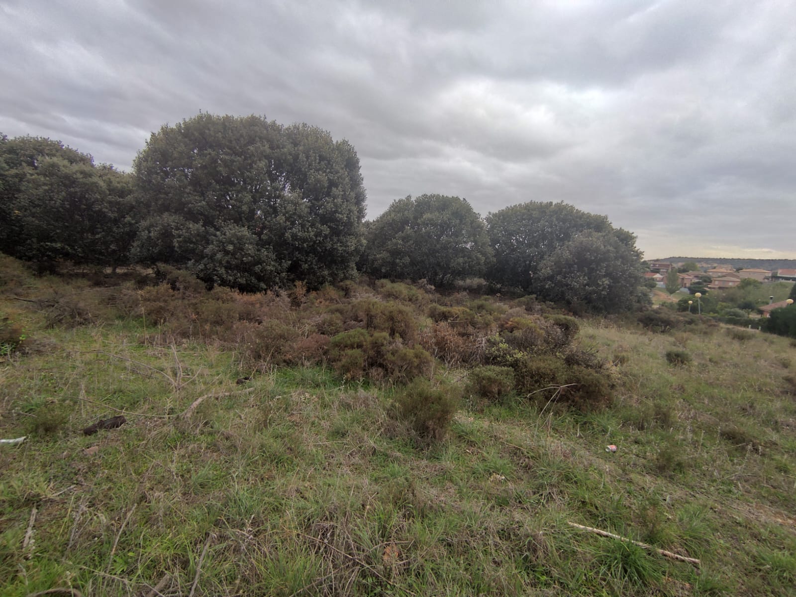 Venta de terreno en Galápagos