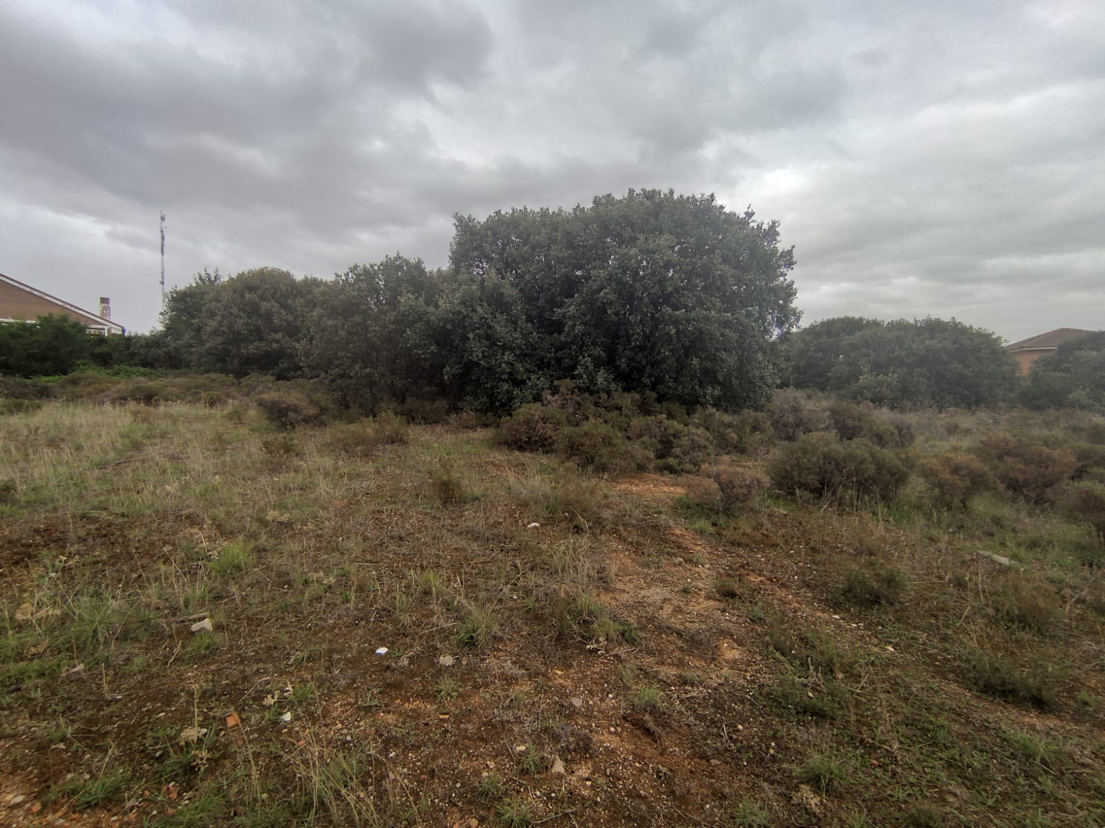 Venta de terreno en Galápagos
