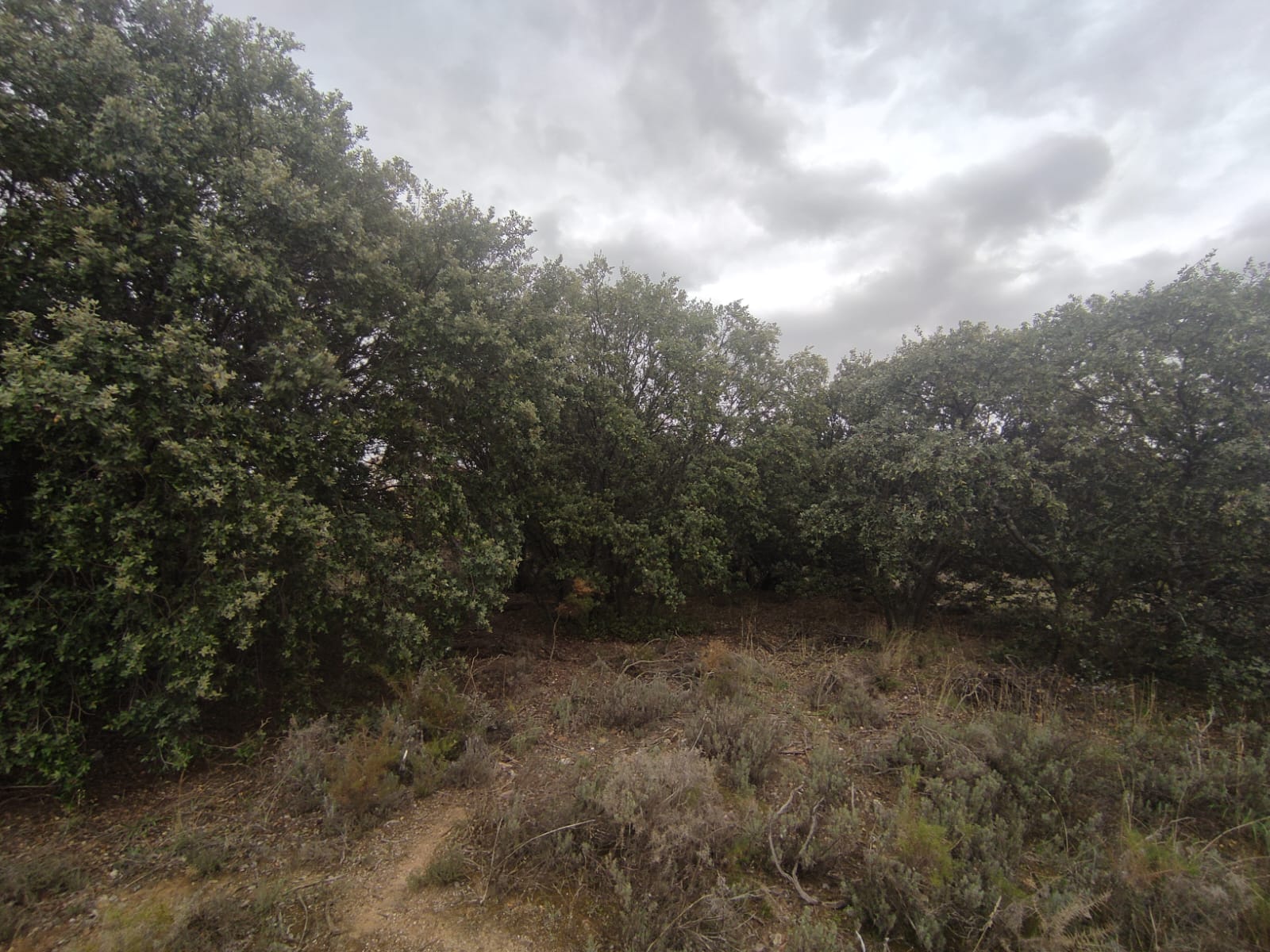 Venta de terreno en Galápagos