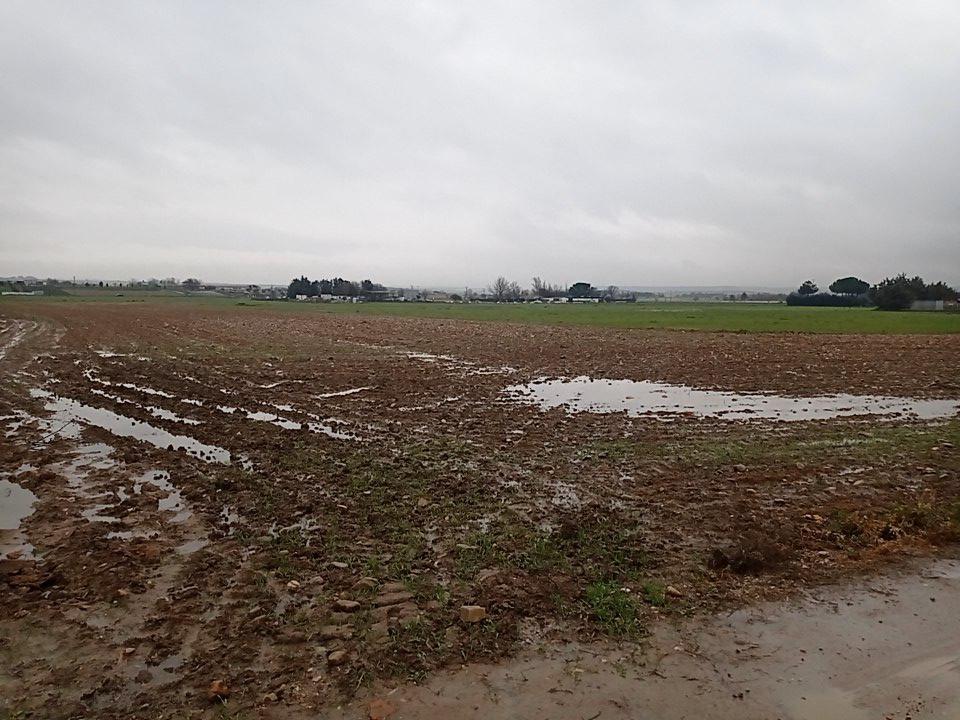Venta de finca rústica en Fuente el Saz de Jarama