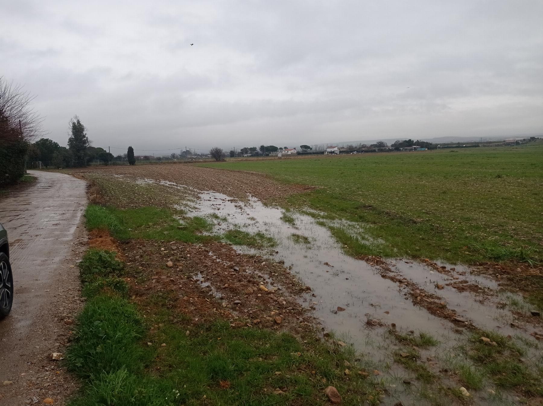 Venta de finca rústica en Fuente el Saz de Jarama