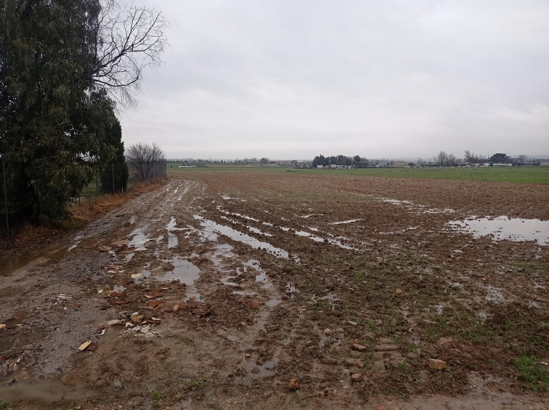 Venta de finca rústica en Fuente el Saz de Jarama