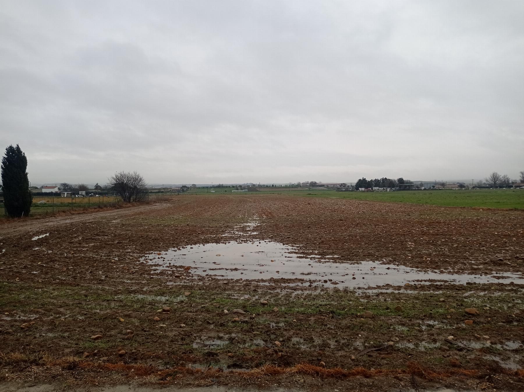 Venta de finca rústica en Fuente el Saz de Jarama