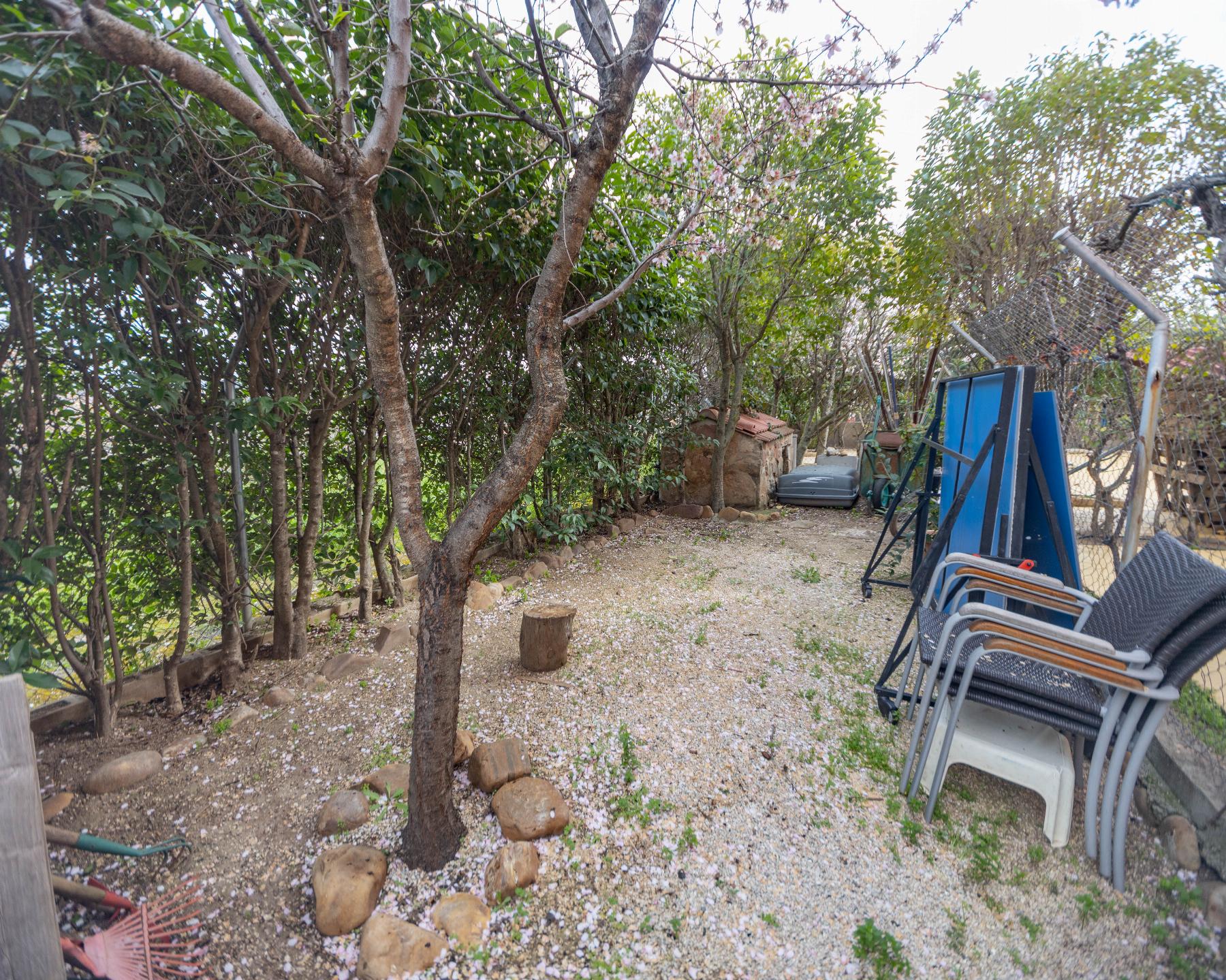 Jardín