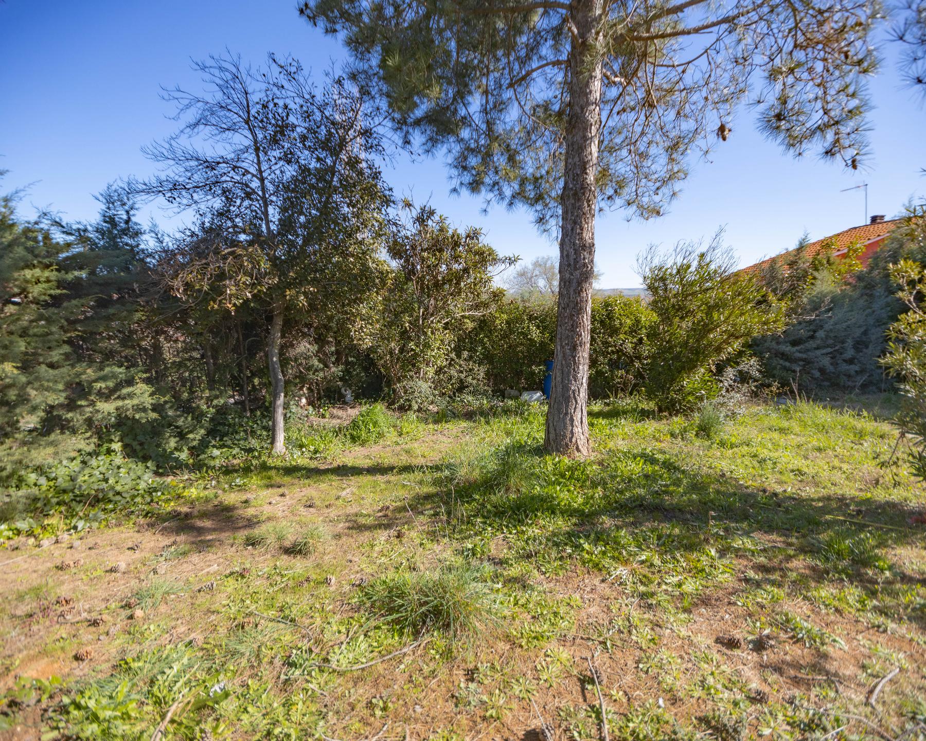 Terreno