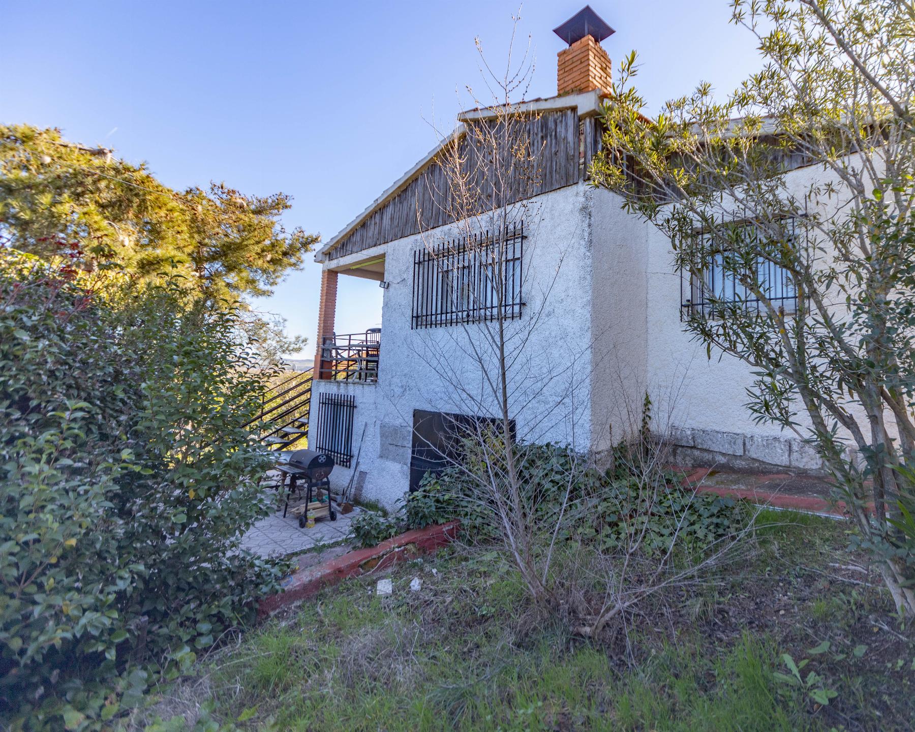 Jardín